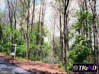 3 Old Covered Bridge Road Newtown Square, PA 19073 - Photo 1 of 1 Gallery Image 1