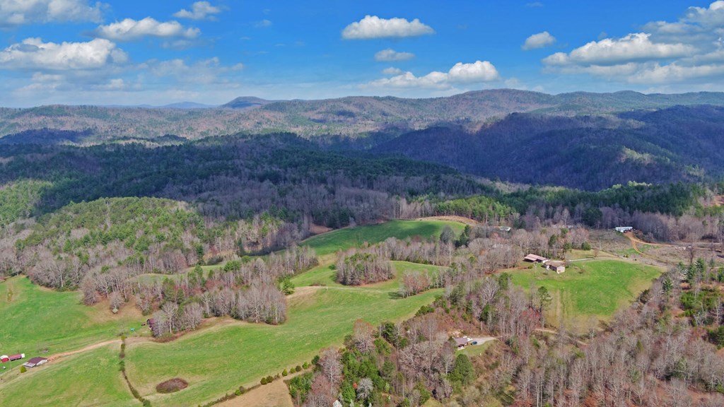 140 Newman Road Farner, TN 37333 - Photo 54 of 61
