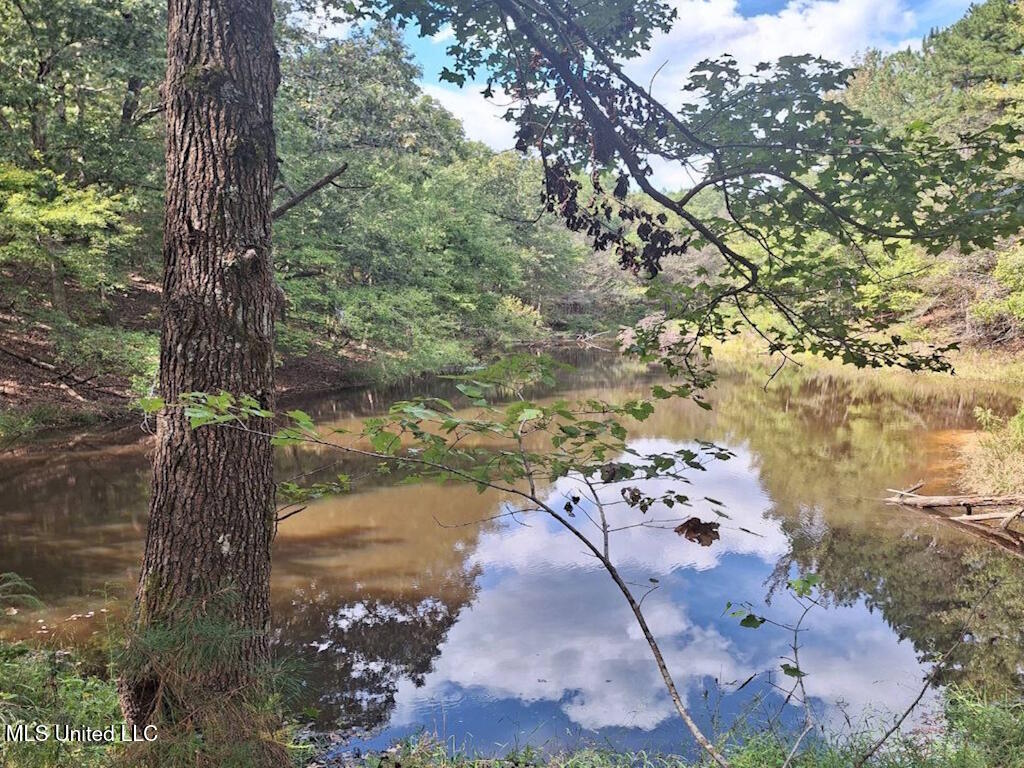 1788 County Road Water Valley, MS 38965 - Photo 1 of 17 1