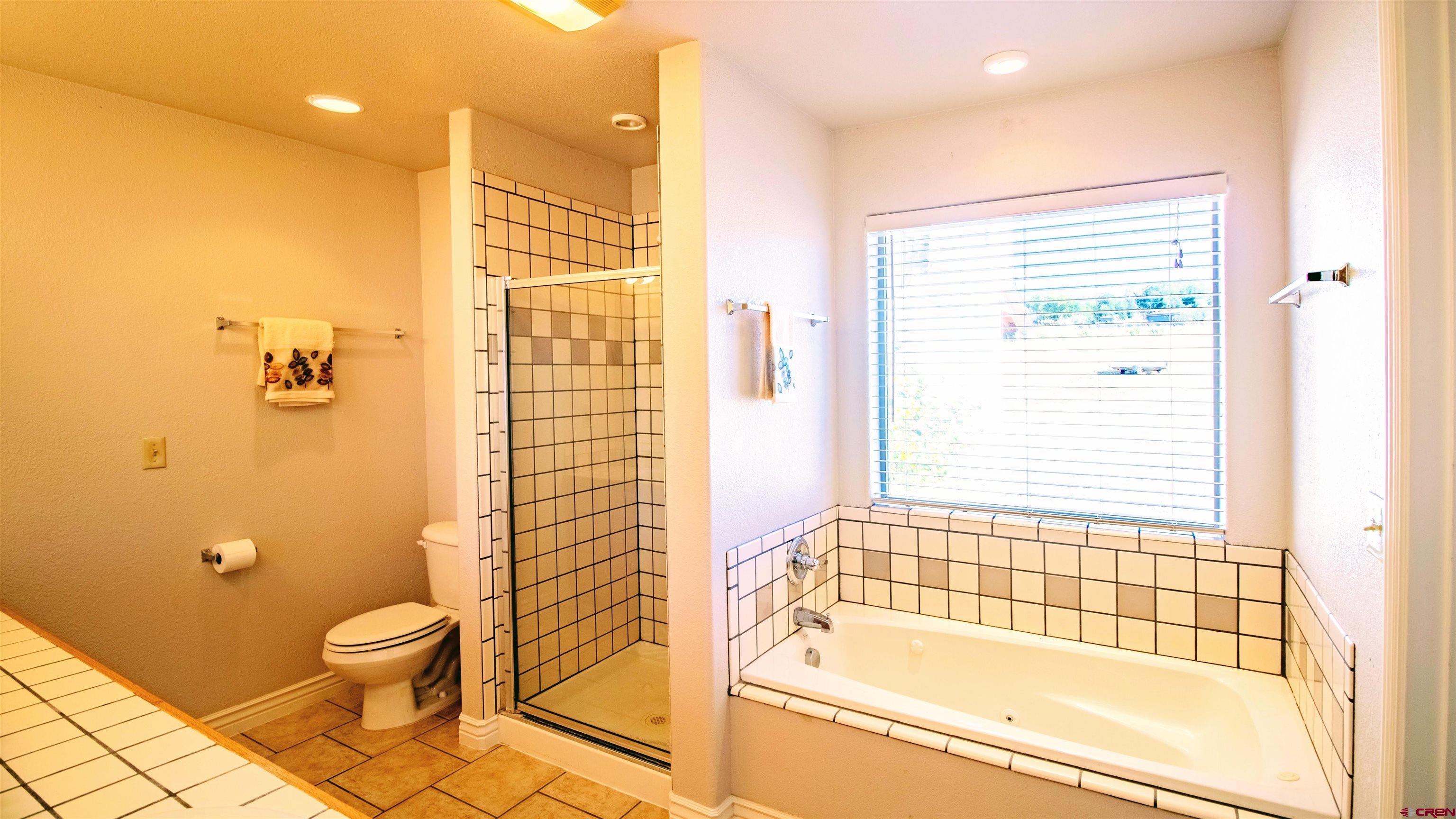 18641 2375th Road Cedaredge, CO 81413 - Photo 18 of 35 a bathroom with a granite countertop toilet a sink and a bathtub