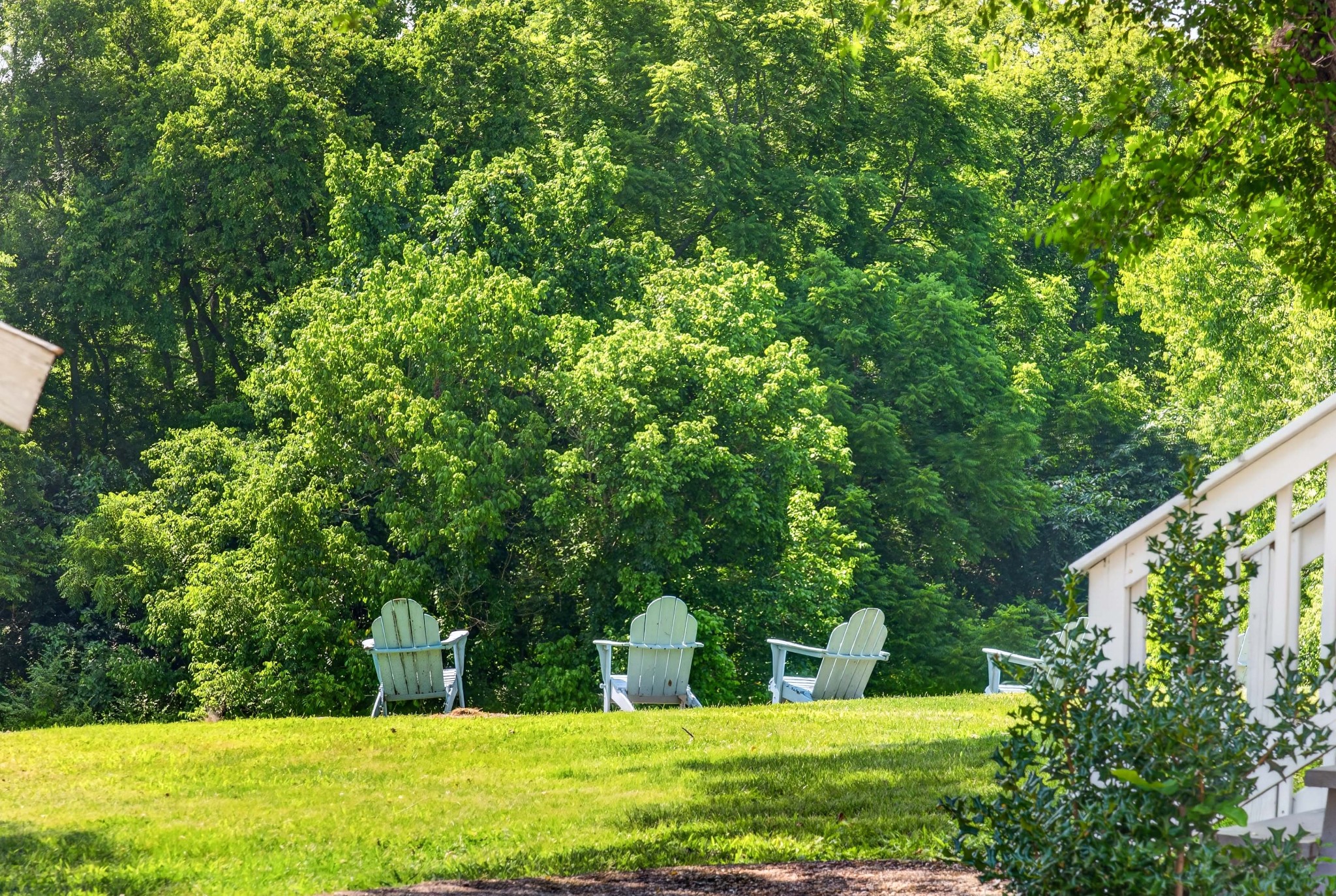 3798 McCandless Road Columbia, TN 38401 - Photo 83 of 98