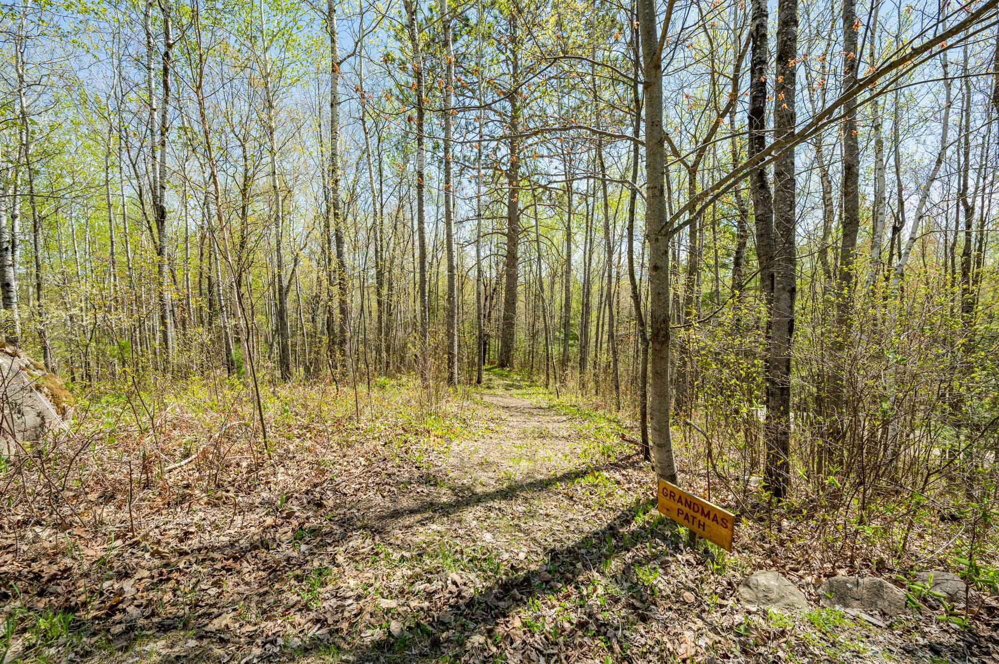 46890 Smith Lake Road Marcell, MN 56657 - Photo 71 of 75
