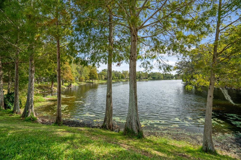 2538 Oakleaf Lane, Unit 33B Clearwater, FL 33763 - Photo 36 of 60