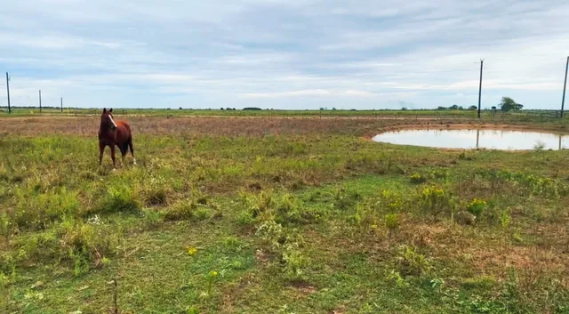 $224,431 | 1249 Country Road 141, Rock Island, TX 77470