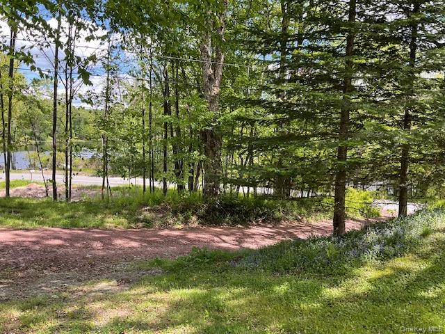 5 Lake Muskoday Road Roscoe, NY 12776 - Photo 6 of 8 Road in front of the property