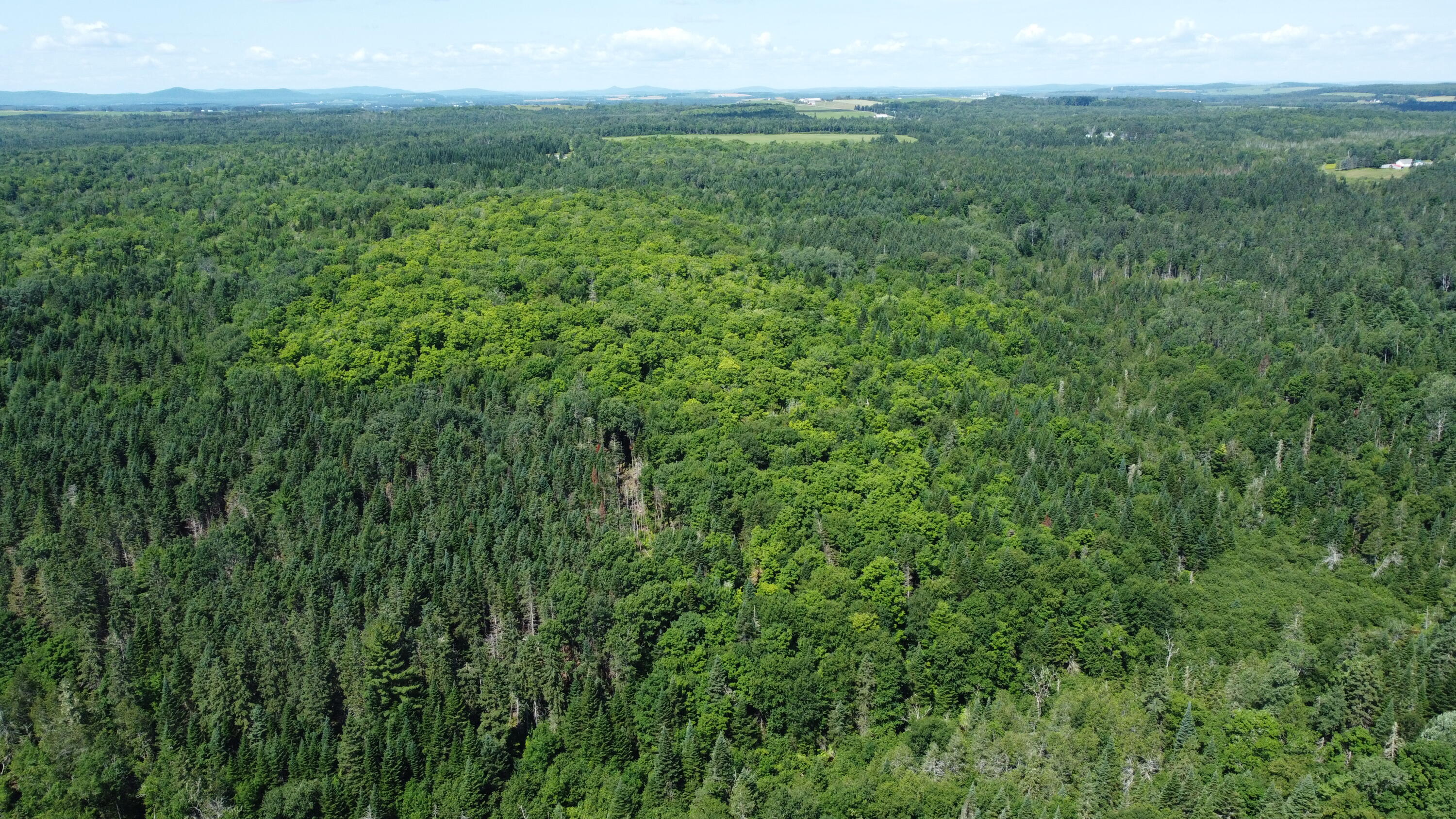 512 Graham Road Easton, ME 04740 - Photo 14 of 22 DJI_0127