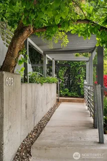 a view of a garden with wooden fence