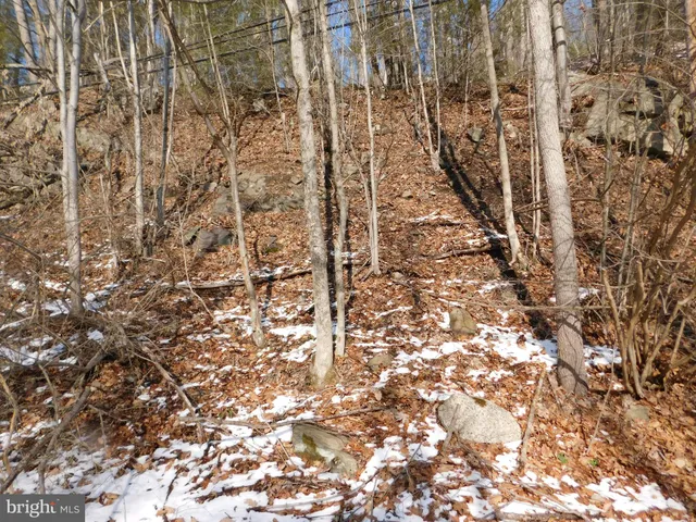 $29,900 | 0 Claremont Avenue, Tamaqua, PA 18252