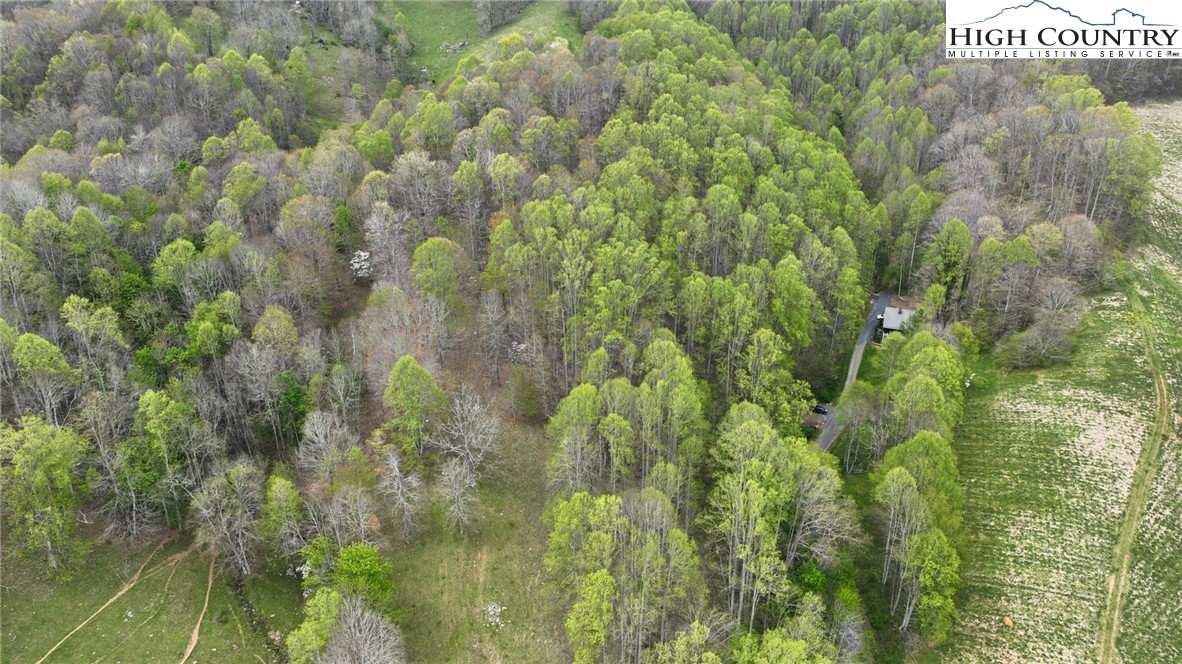 500 Frank Roland Road Warrensville, NC 28693 - Photo 15 of 45 Gallery Image 15