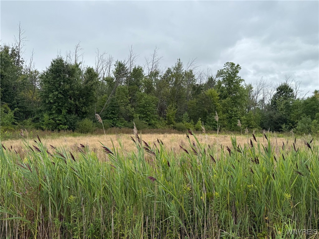 Vl Jagow Road South Niagara Falls, NY 14304 - Photo 6 of 7