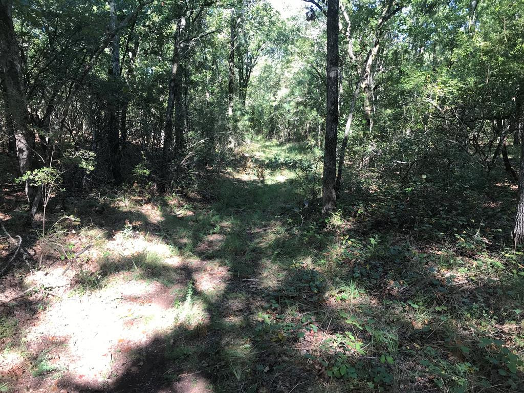 462 Colbert Bridge Road Windsor, SC 29856 - Photo 13 of 18