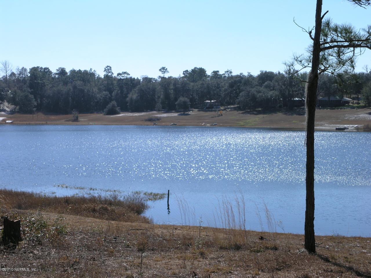 6786 Deer Springs Road Keystone Heights, FL 32656 - Photo 6 of 6 a view of a yard