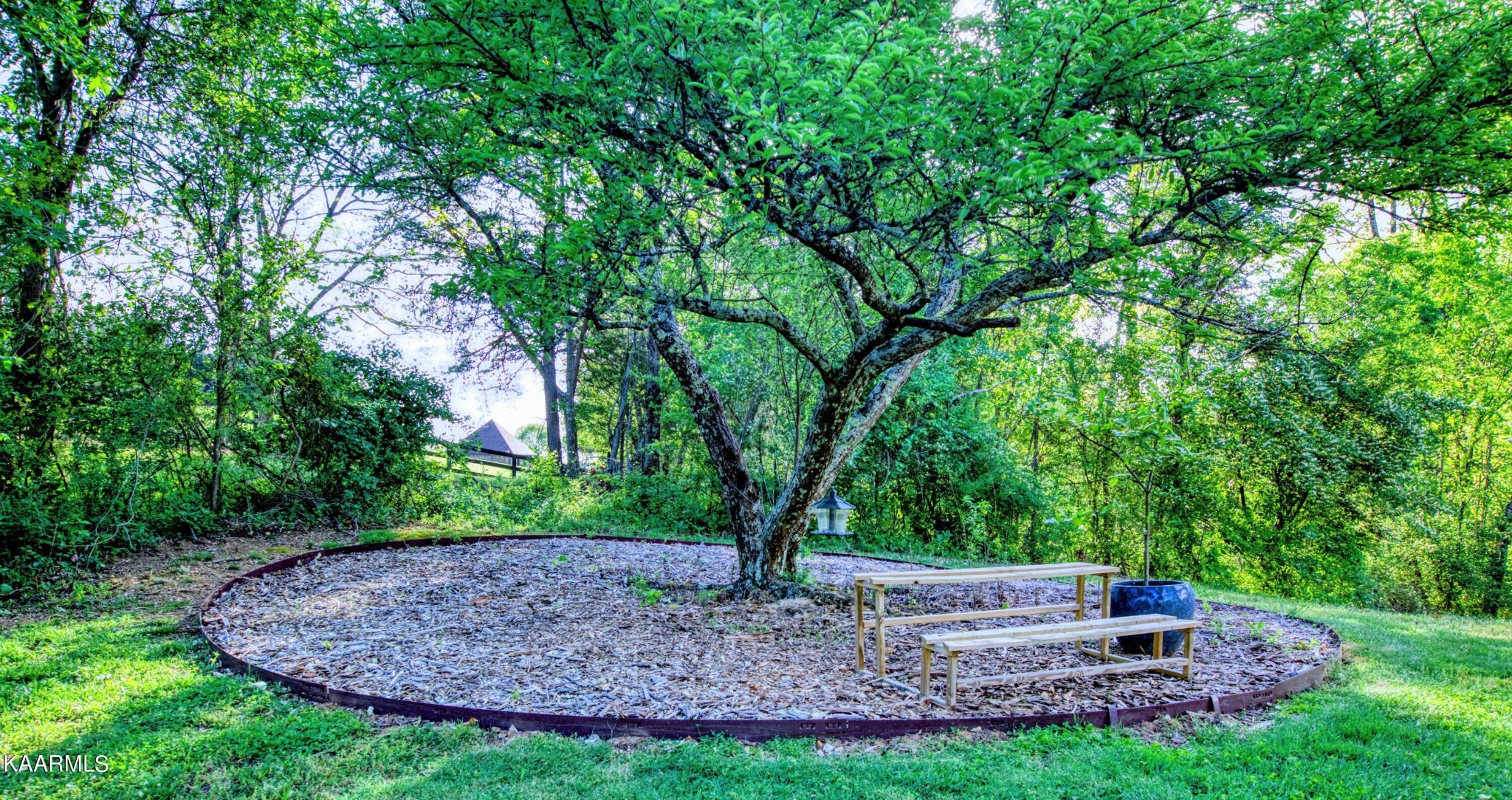2313 Tooles Bend Road Knoxville, TN 37922 - Photo 6 of 50 a view of a backyard with large trees