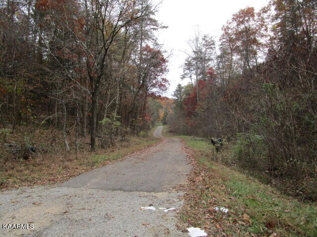 545 Kettle Hollow Road Rutledge, TN 37861 - Photo 1 of 6 IMG_3236