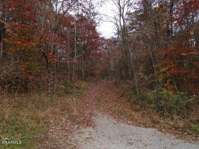 545 Kettle Hollow Road Rutledge, TN 37861 - Photo 2 of 6 IMG_3237
