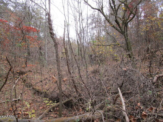 545 Kettle Hollow Road Rutledge, TN 37861 - Photo 3 of 6 IMG_3234