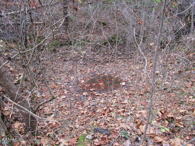545 Kettle Hollow Road Rutledge, TN 37861 - Photo 5 of 6 IMG_3233