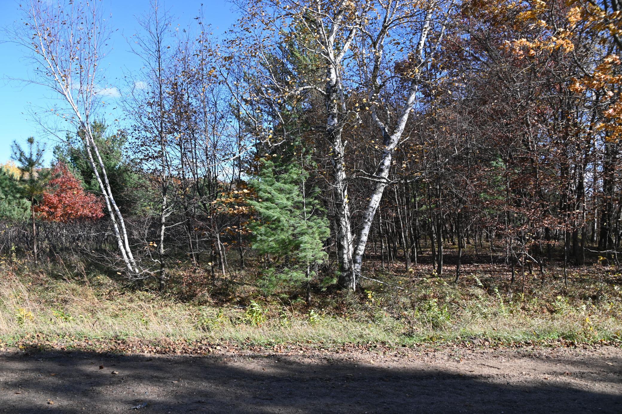 Tbd Pacer Loop Browerville, MN 56438 - Photo 4 of 8