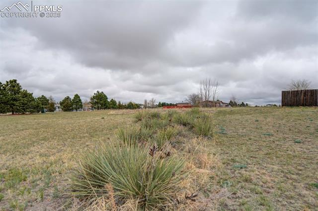 17455 Max Road Peyton, CO 80831 - Photo 8 of 34 Gallery Image 8