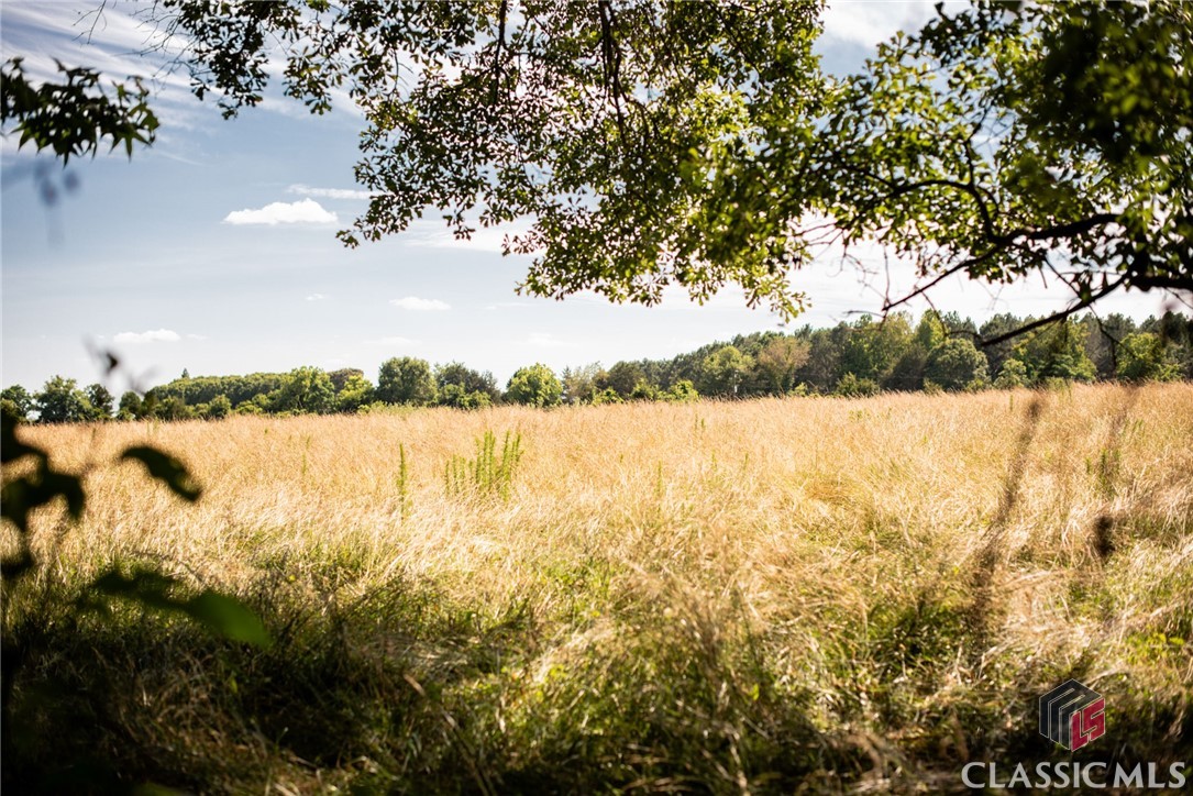 0 Hardeman Mill Road Madison, GA 30650 - Photo 5 of 16 view of meadow from the property