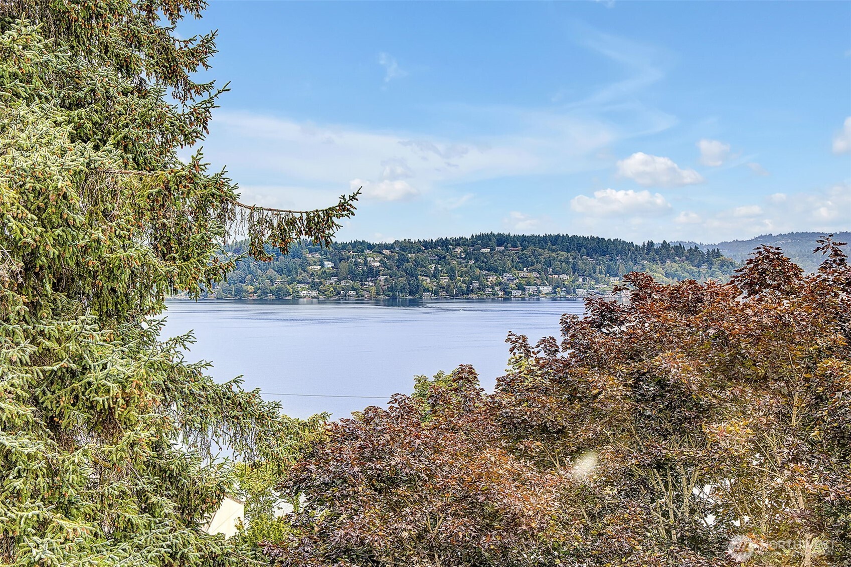 9733 Arrowsmith Avenue South Seattle, WA 98118 - Photo 26 of 39