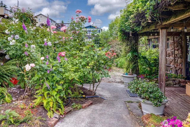 a view of a flower in a garden