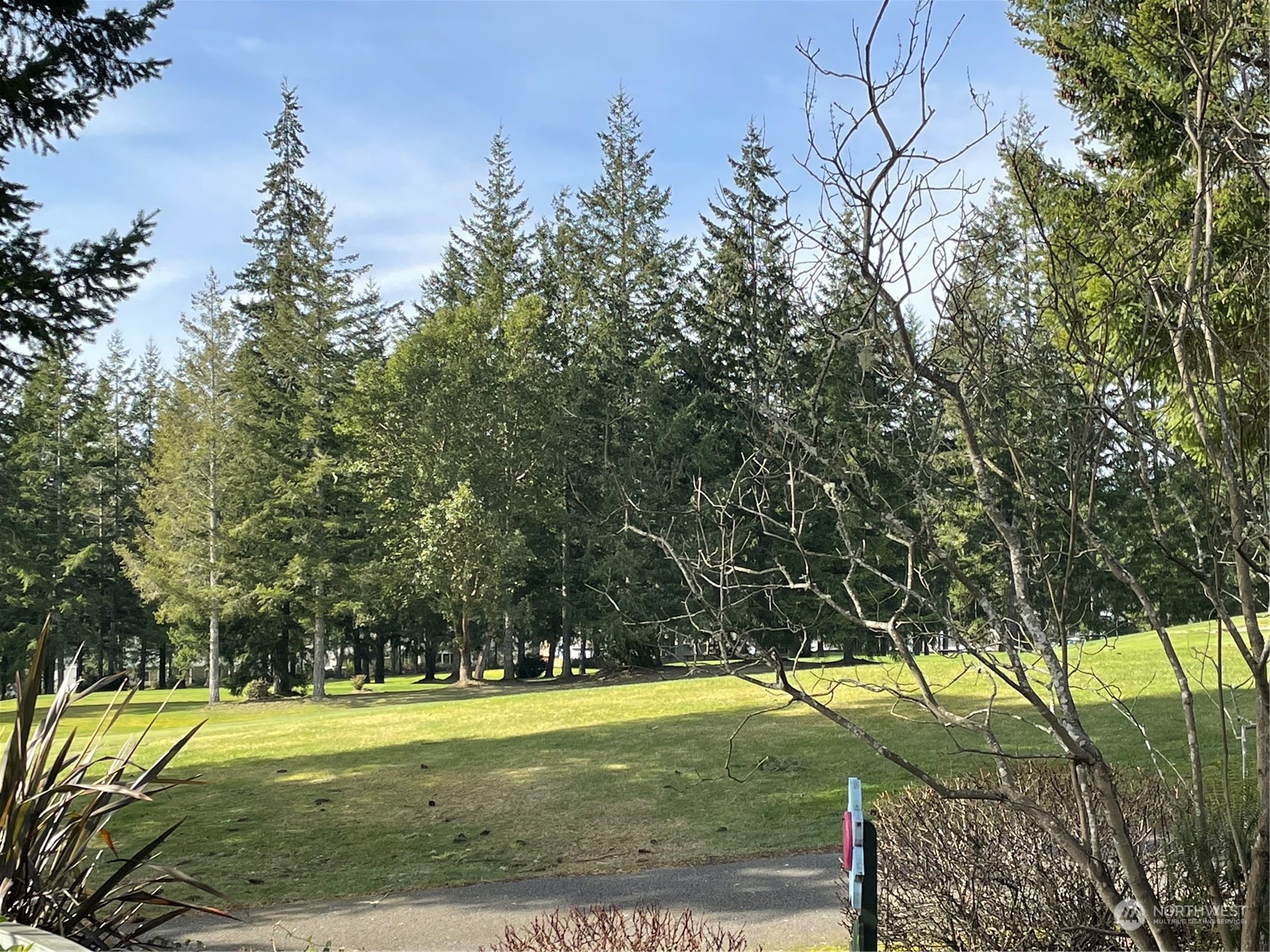 160 East Soderberg Road, Unit E15 Allyn, WA 98524 - Photo 4 of 33 a view of a yard with an trees