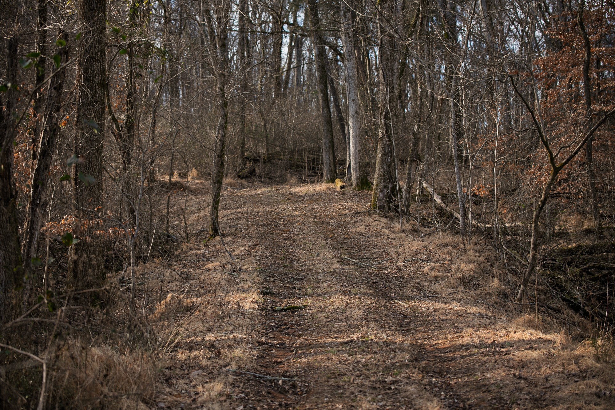 680 Morrell Road Pulaski, TN 38478 - Photo 36 of 71 Gallery Image 36
