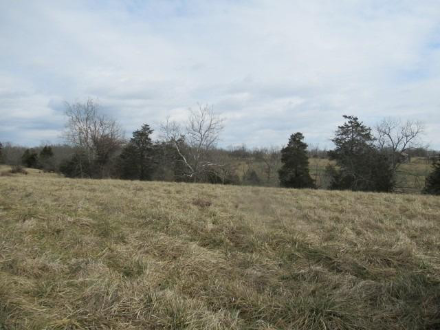 1939 Switzer Road Stamping Ground, KY 40379 - Photo 3 of 26 Photo 3
