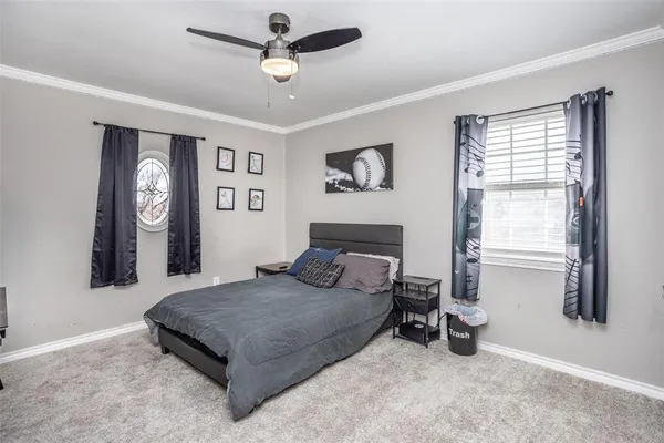 a living room with a bed furniture and a window
