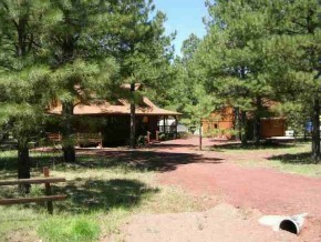 1245 South Pine Needle Road Williams, AZ 86046 - Photo 6 of 6 Additional Photo