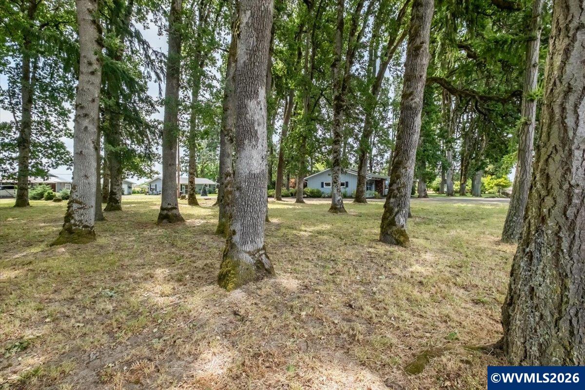 34361 Riverside Drive Albany, OR 97321 - Photo 39 of 50