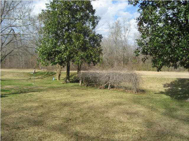 205 West Petros Road Pearl, MS 39208 - Photo 6 of 10 Photo 6
