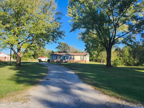 a view of a big yard with plants and large trees