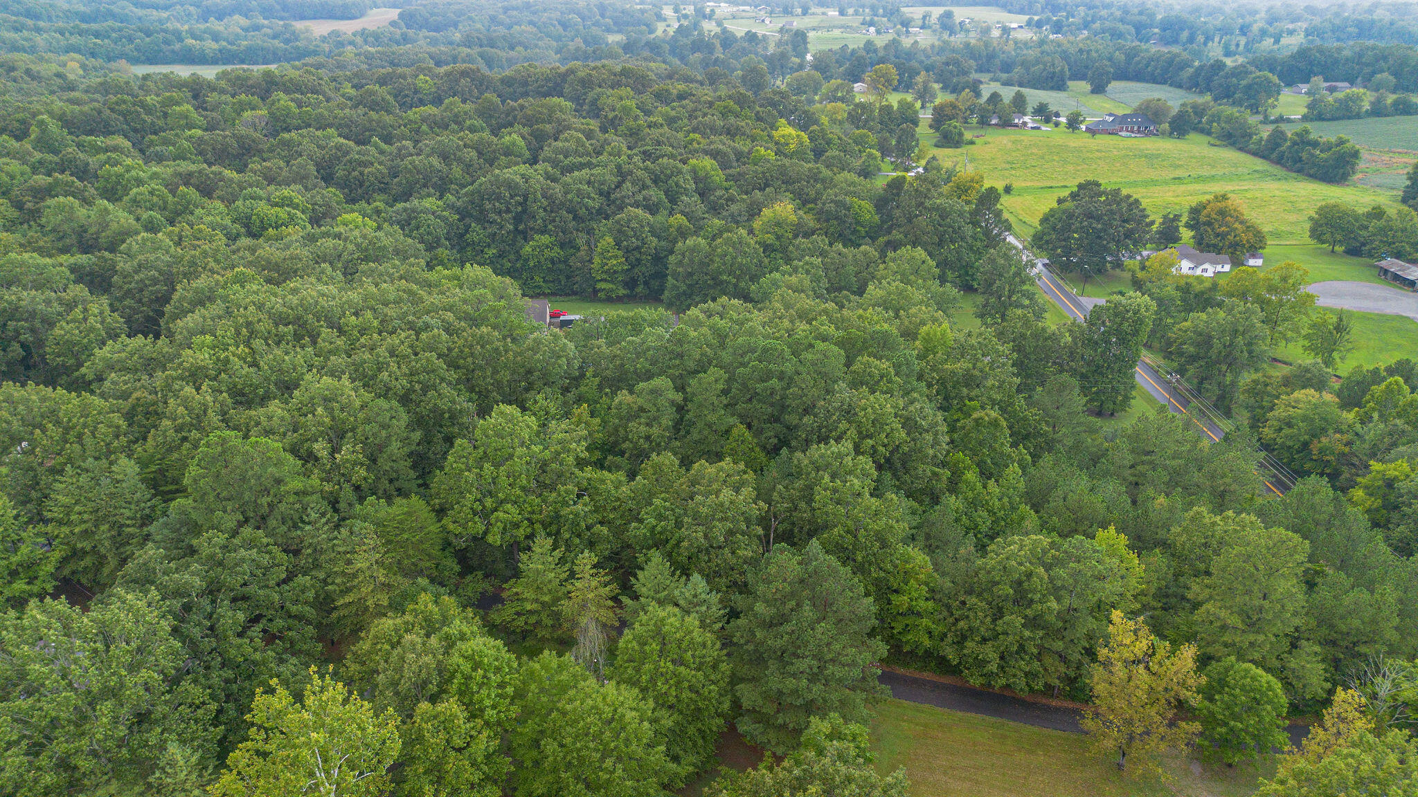 0 Oak Level Road Benton, KY 42025 - Photo 6 of 9 6
