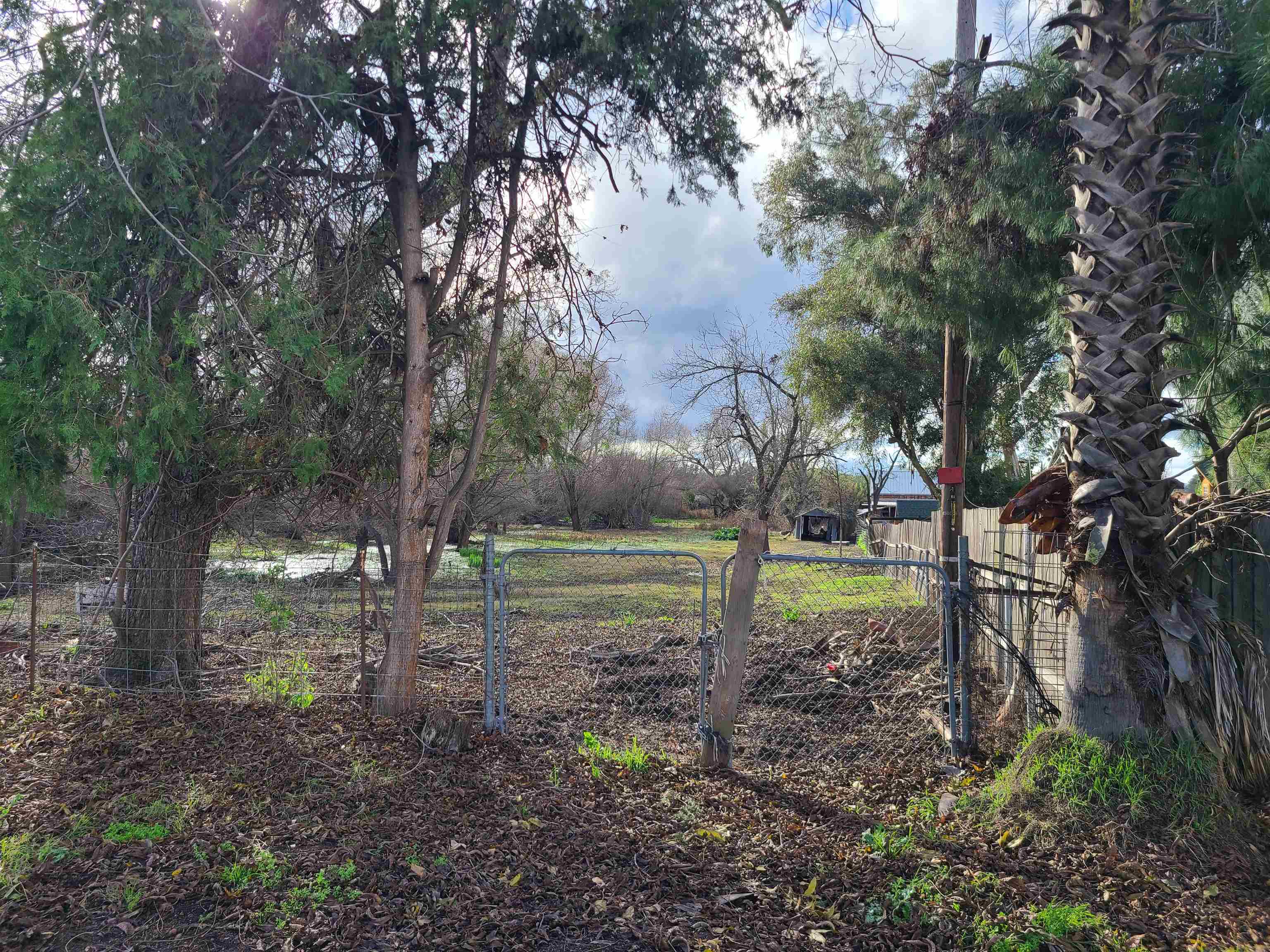 4891 Stone Road Bethel Island, CA 94511 - Photo 2 of 5 a backyard of a house with lots of green space