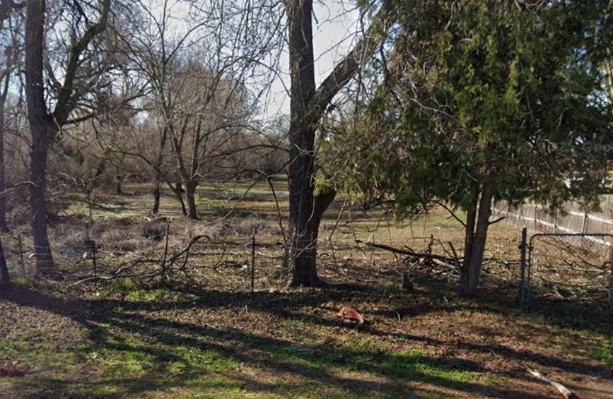 4891 Stone Road Bethel Island, CA 94511 - Photo 4 of 5 a view of a yard with lots of trees