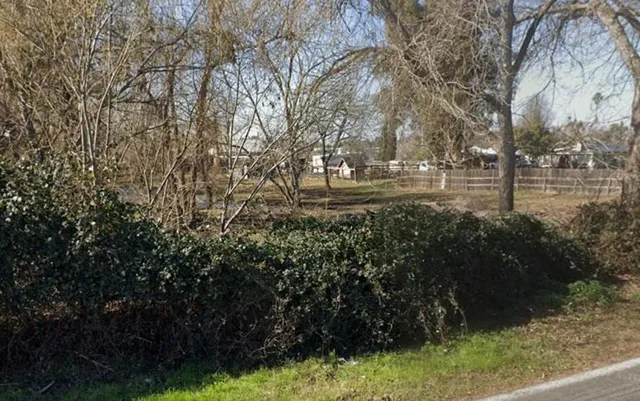 a view of yard covered with green space