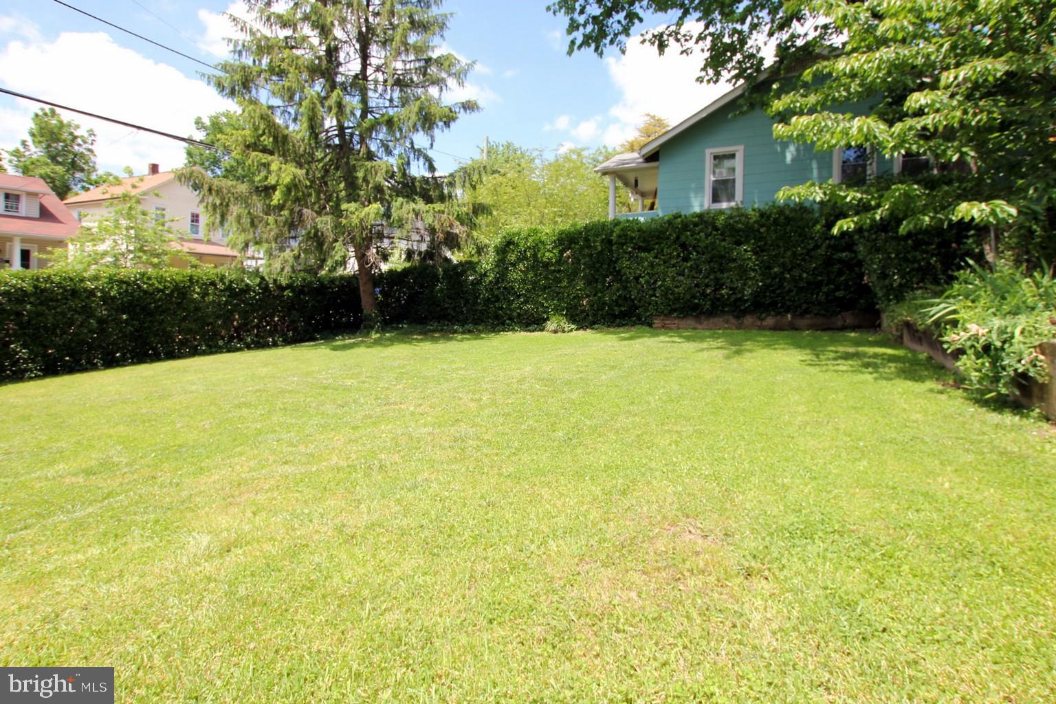3100 Perry Street Mount Rainier, MD 20712 - Photo 29 of 40 Tall privacy hedge in backyard
