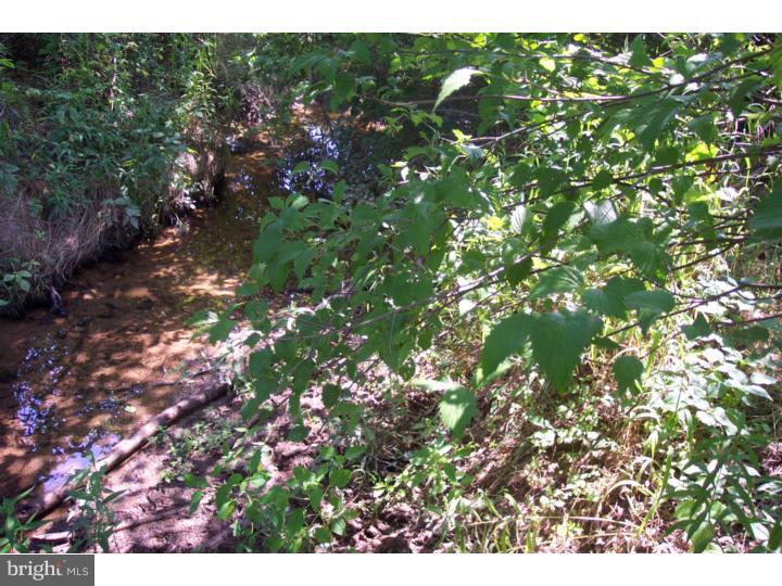 1249 Mink Road Perkasie, PA 18944 - Photo 15 of 18 a view of a tree