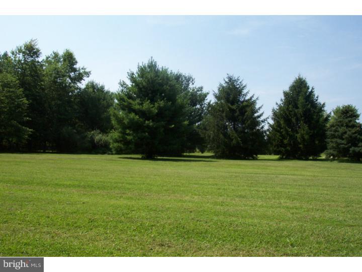 1249 Mink Road Perkasie, PA 18944 - Photo 16 of 18 a backyard of a house with lots of green space