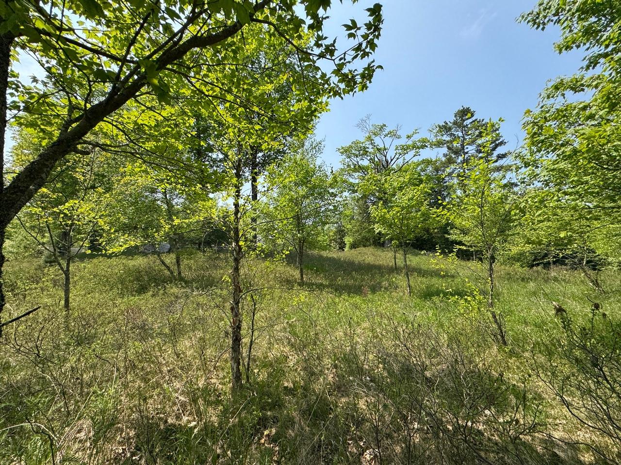 8677 North Davis Road Mercer, WI 54547 - Photo 38 of 51 Gallery Image 38