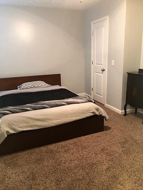 1801 Mosley Ferry Road Chapmansboro, TN 37035 - Photo 13 of 24 The large master bedroom has plush carpet (new 2017)