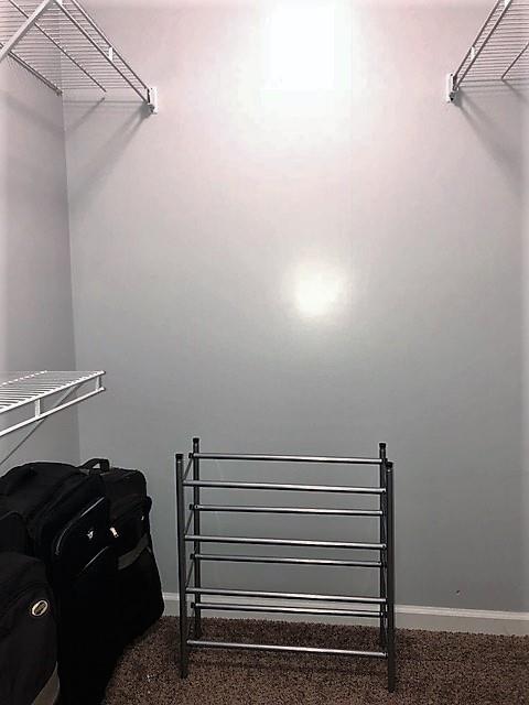 1801 Mosley Ferry Road Chapmansboro, TN 37035 - Photo 15 of 24 A fabulous walk in closet is in the master bedroom.