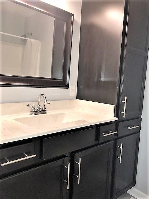 1801 Mosley Ferry Road Chapmansboro, TN 37035 - Photo 19 of 24 The secondary bath was renovated along with the rest of the home in 2017.