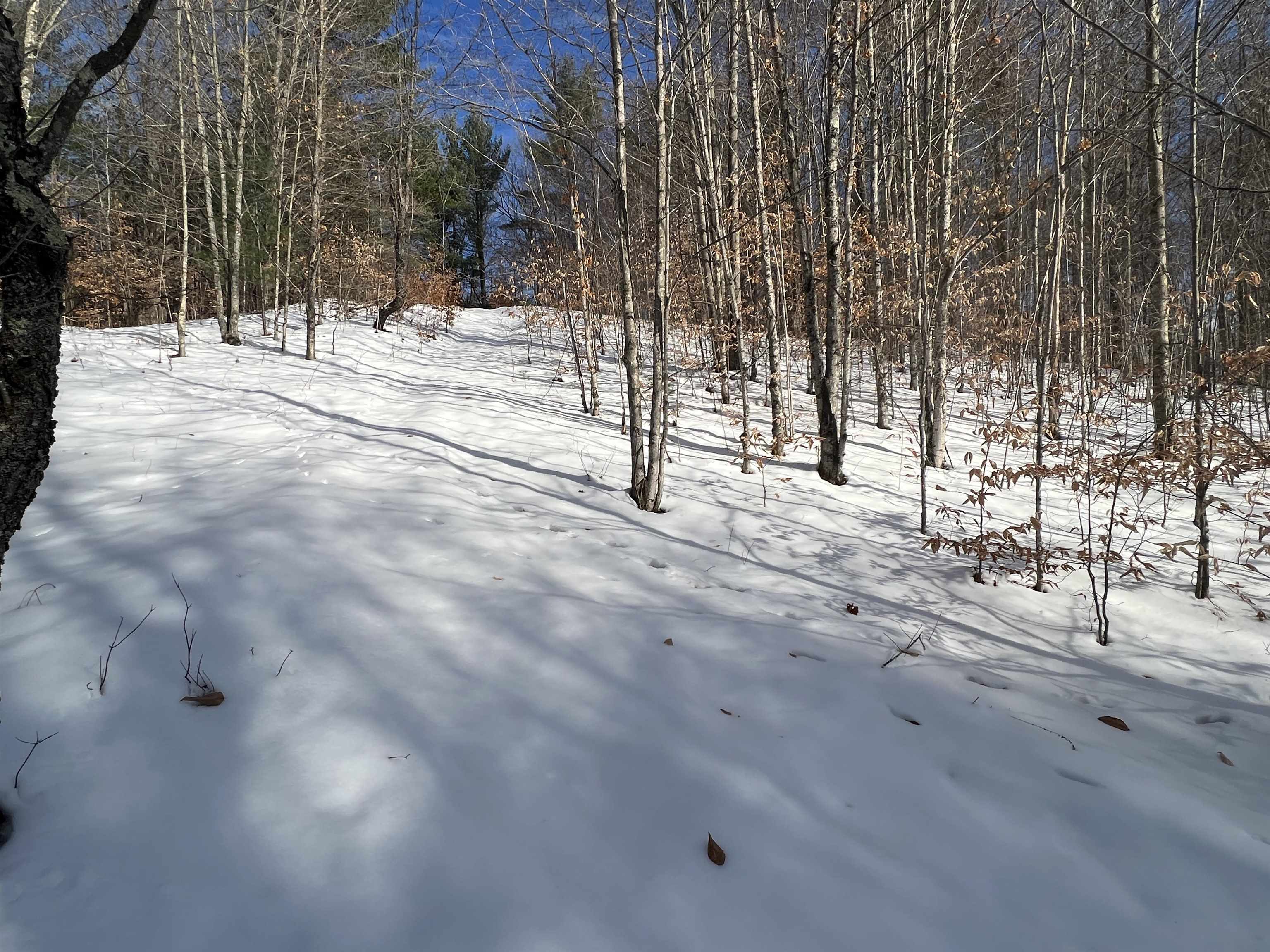 1120 Overhill Road Northwest Alden, MI 49612 - Photo 35 of 35 Gallery Image 35