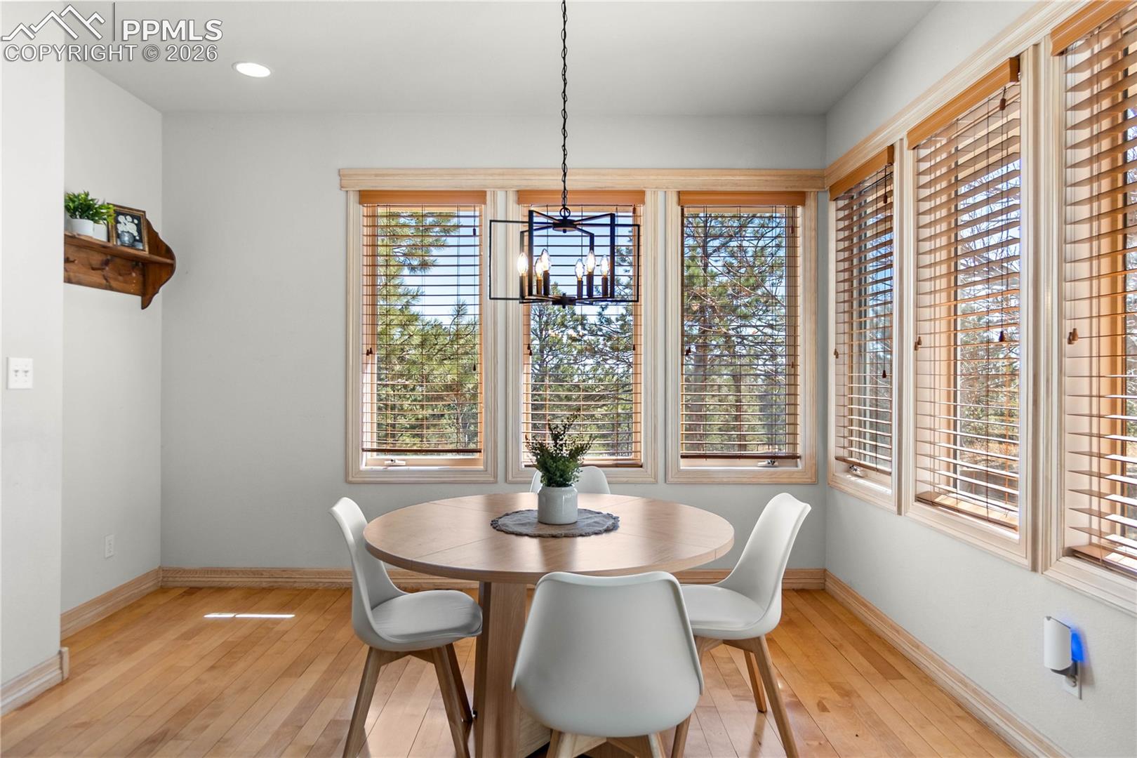 11430 Roslyn Road Elbert, CO 80106 - Photo 12 of 50 Gallery Image 12