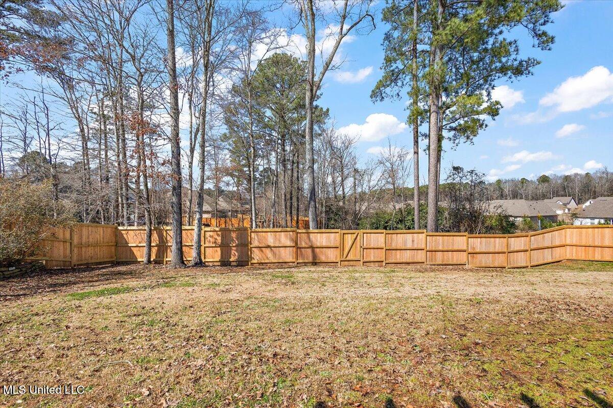 227 Terrapin Creek Road Brandon, MS 39042 - Photo 50 of 50 60-3HTP7031