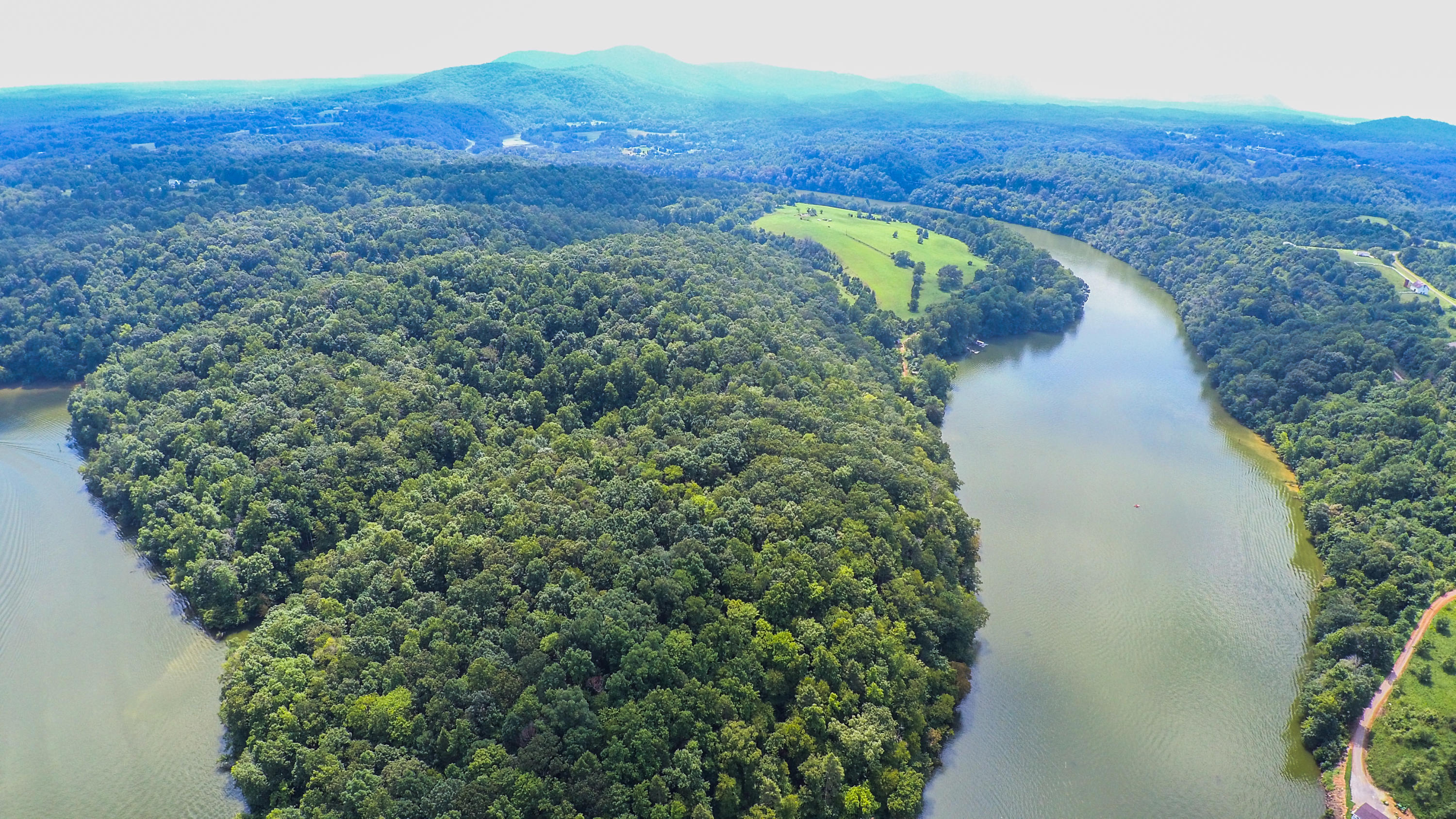 0 Moorman Road Hardy, VA 24101 - Photo 6 of 12 a view of a lush green forest with a lake