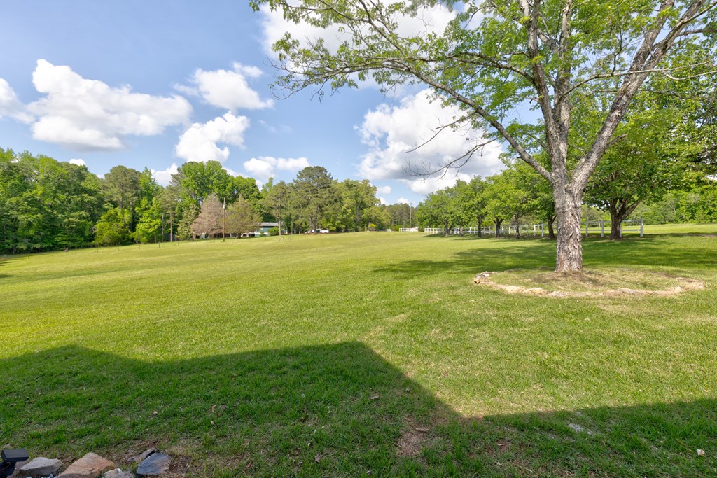 312 Duke Road Hamilton, GA 31811 - Photo 16 of 58 Gallery Image 16